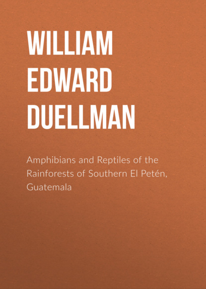 

Amphibians and Reptiles of the Rainforests of Southern El Petén, Guatemala