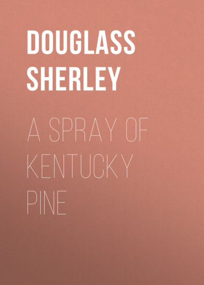

A Spray of Kentucky Pine