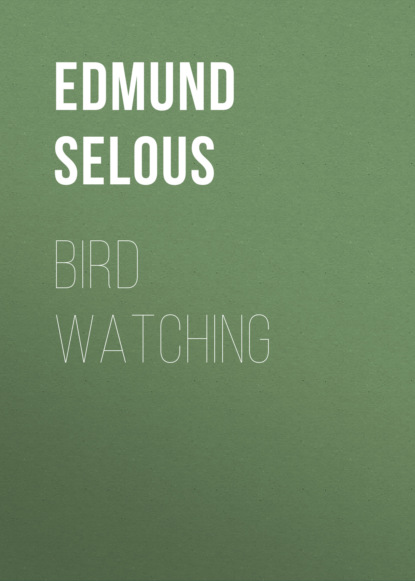 

Bird Watching