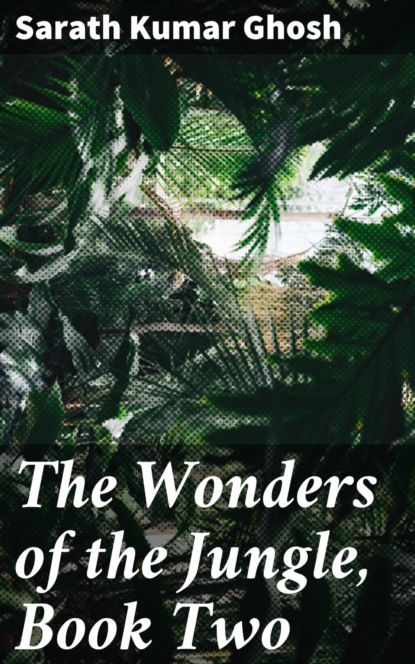 

The Wonders of the Jungle, Book Two