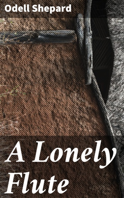 

A Lonely Flute