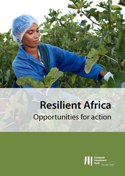 Группа авторов - Resilient Africa: Opportunities for action