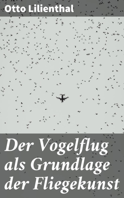 

Der Vogelflug als Grundlage der Fliegekunst