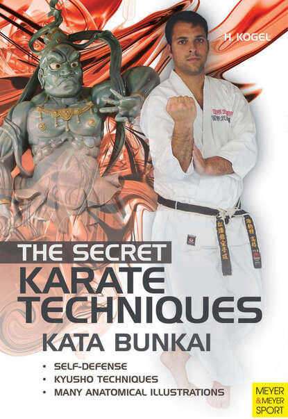 Helmut  Kogel - The Secret Karate Techniques - Kata Bunkai