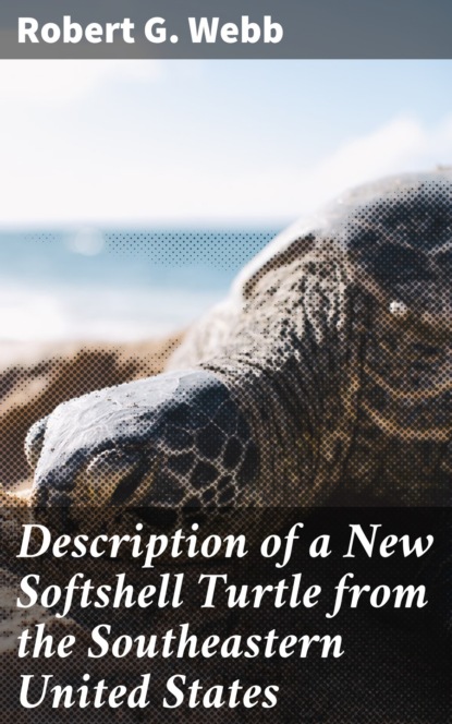 

Description of a New Softshell Turtle from the Southeastern United States