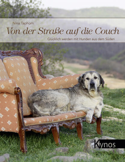 Nina Taphorn - Von der Straße auf die Couch