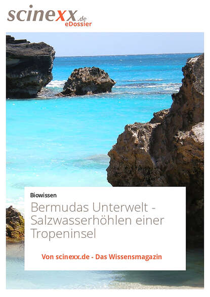 Nadja  Podbregar - Bermudas Unterwelt