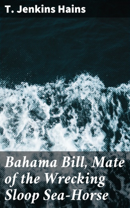 

Bahama Bill, Mate of the Wrecking Sloop Sea-Horse