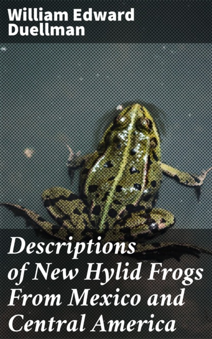 

Descriptions of New Hylid Frogs From Mexico and Central America