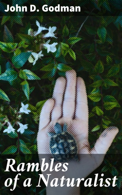 

Rambles of a Naturalist