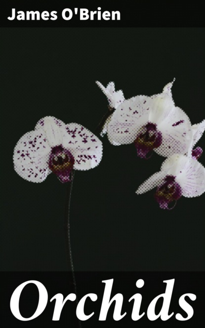 

Orchids