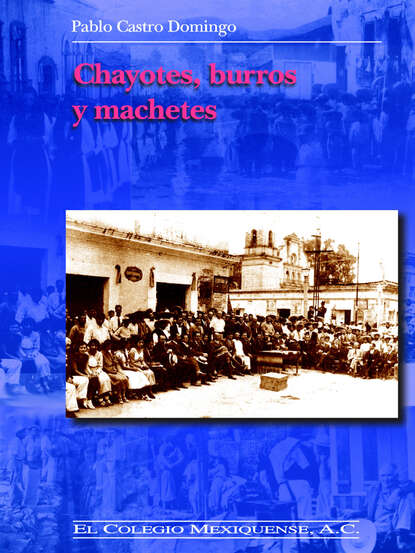 

Chayotes, burros y machetes