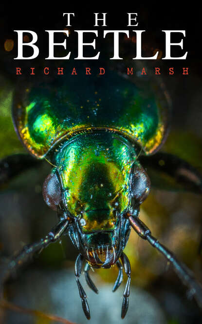 Richard  Marsh - The Beetle