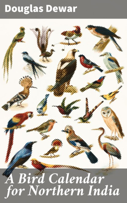 

A Bird Calendar for Northern India