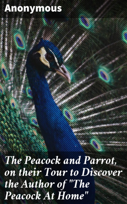 Unknown - The Peacock and Parrot, on their Tour to Discover the Author of "The Peacock At Home"