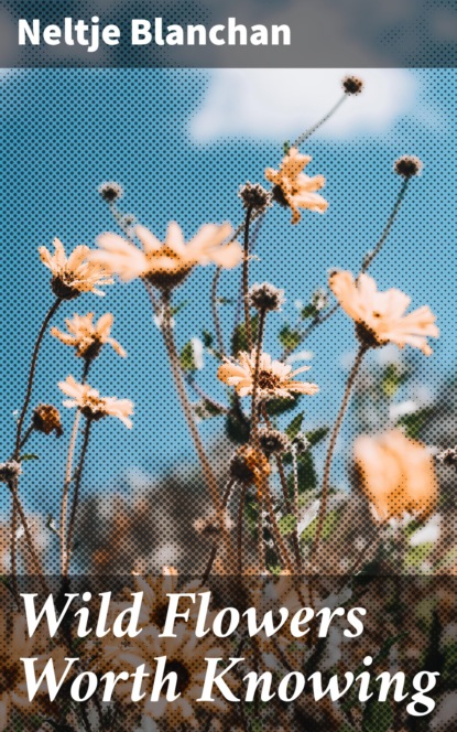 

Wild Flowers Worth Knowing