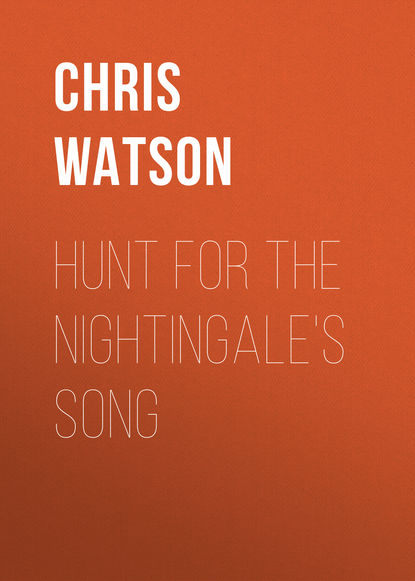 

Hunt For The Nightingale's Song