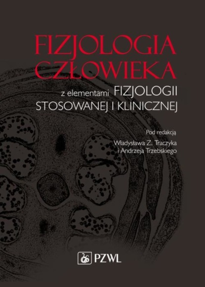 Группа авторов - Fizjologia człowieka z elementami fizjologii stosowanej i klinicznej