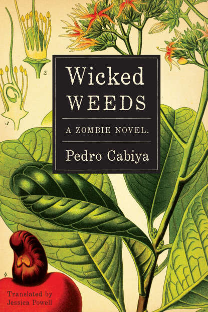 Pedro Cabiya - Wicked Weeds