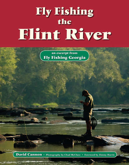 David Cannon L. - Fly Fishing the Flint River