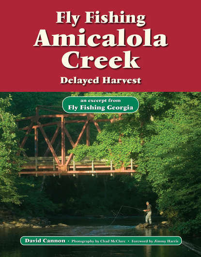 David Cannon L. - Fly Fishing Amicalola Creek, Delayed Harvest