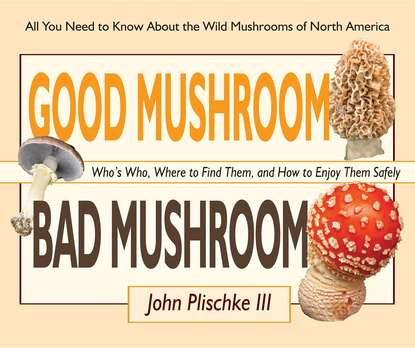 

Good Mushroom Bad Mushroom