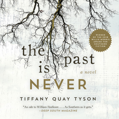 The Past Is Never (Unabridged) - Tiffany Quay Tyson