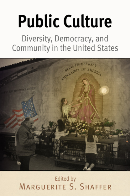 

Public Culture
