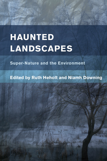 

Haunted Landscapes