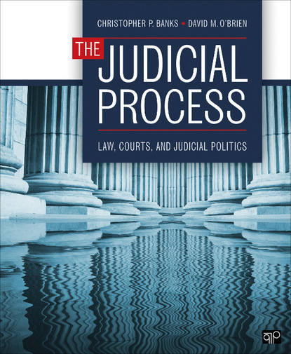 

The Judicial Process