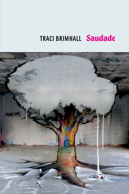 Traci Brimhall - Saudade