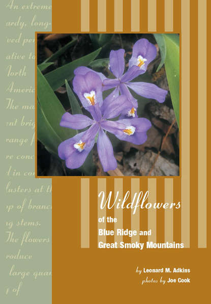 

Wildflowers of Blue Ridge and Great Smoky Mountains