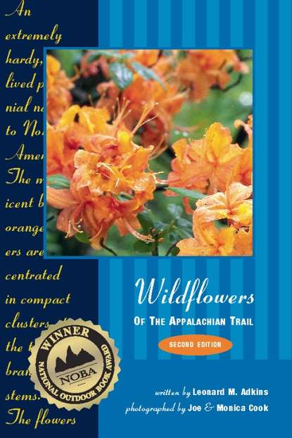 

Wildflowers of the Appalachian Trail