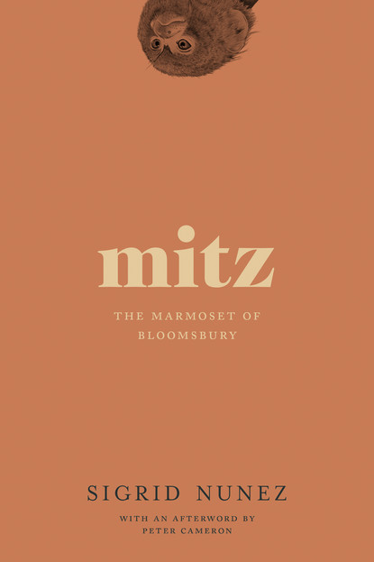 

Mitz