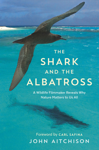 John Aitchison - The Shark and the Albatross