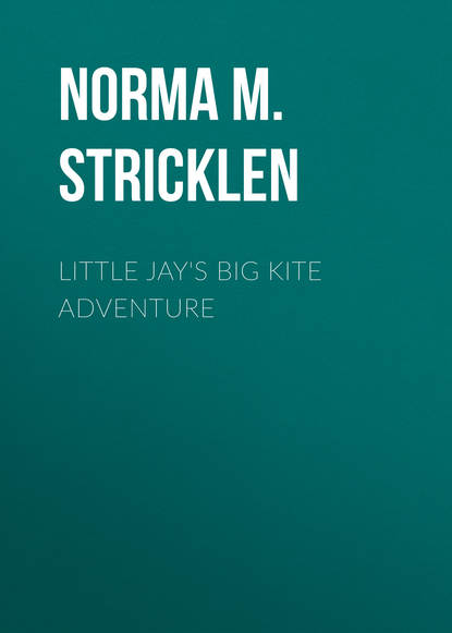 Norma M. Stricklen — Little Jay's Big Kite Adventure