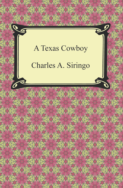 

A Texas Cowboy