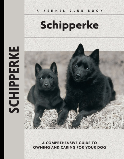 Robert Pollet - Schipperke