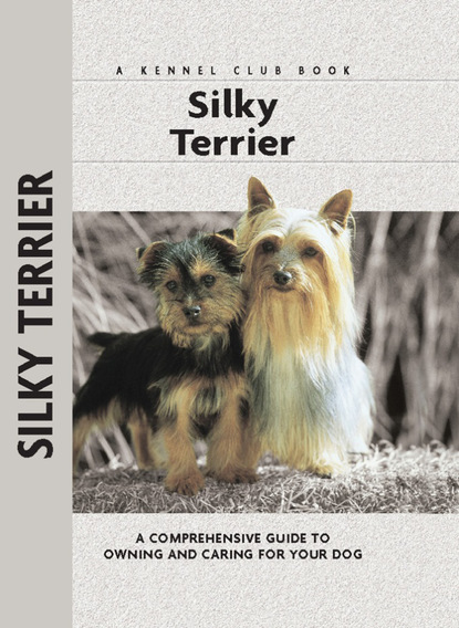 Alice J. Kane - Silky Terrier