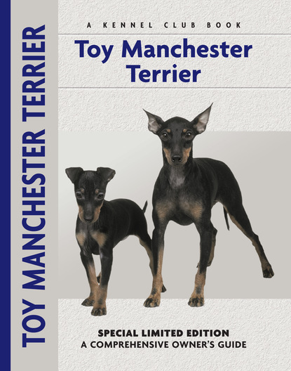 Peter  Brown - Toy Manchester Terrier