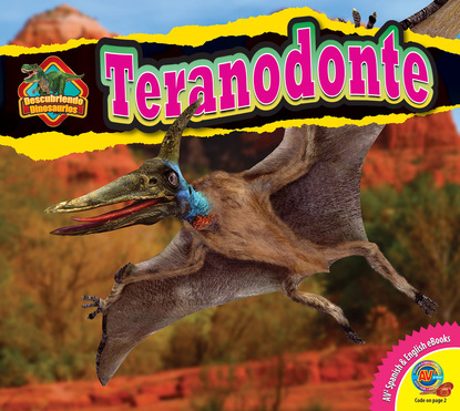 

Teranodonte