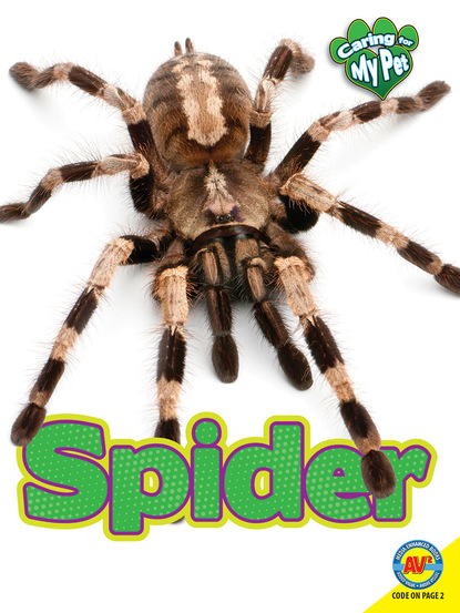 

Spider