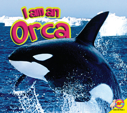 

Orca