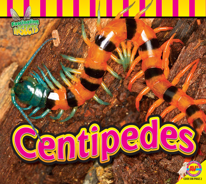 

Centipedes