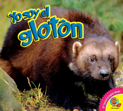 

El glotón