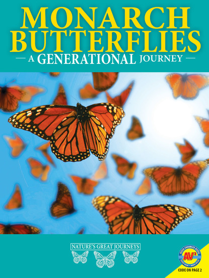

Monarch Butterflies: A Generational Journey