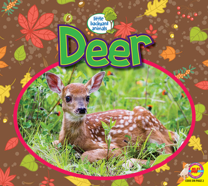 

Deer