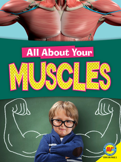 

Muscles