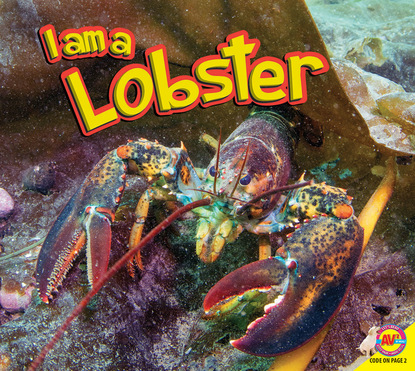 

Lobster