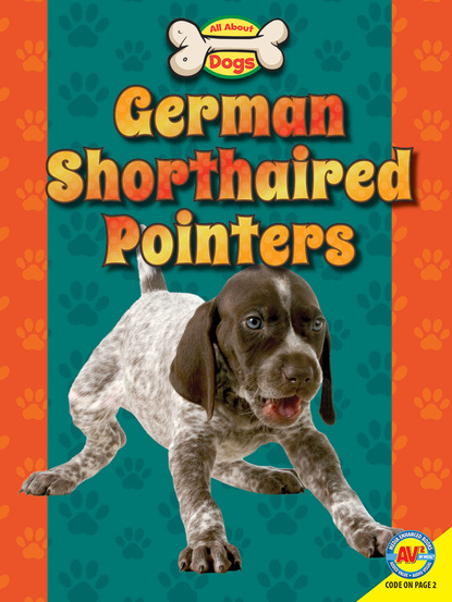 

German Shorthaired Pointers